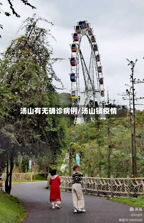 汤山有无确诊病例/汤山镇疫情-第2张图片