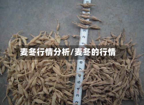 麦冬行情分析/麦冬的行情-第3张图片