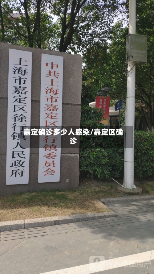 嘉定确诊多少人感染/嘉定区确诊-第2张图片