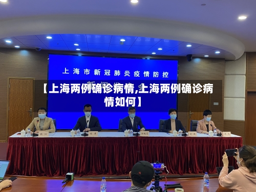 【上海两例确诊病情,上海两例确诊病情如何】-第2张图片