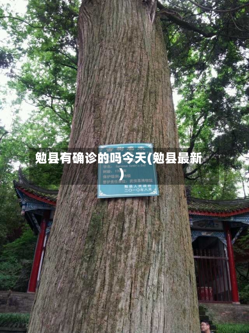 勉县有确诊的吗今天(勉县最新)