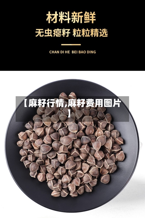 【麻籽行情,麻籽费用图片】
