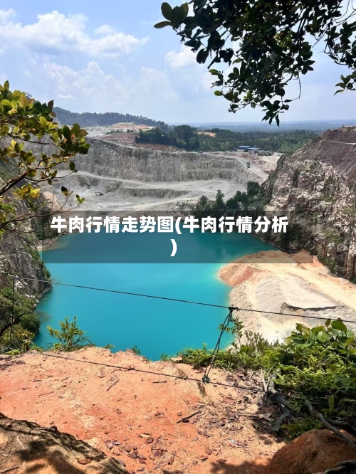 牛肉行情走势图(牛肉行情分析)-第3张图片